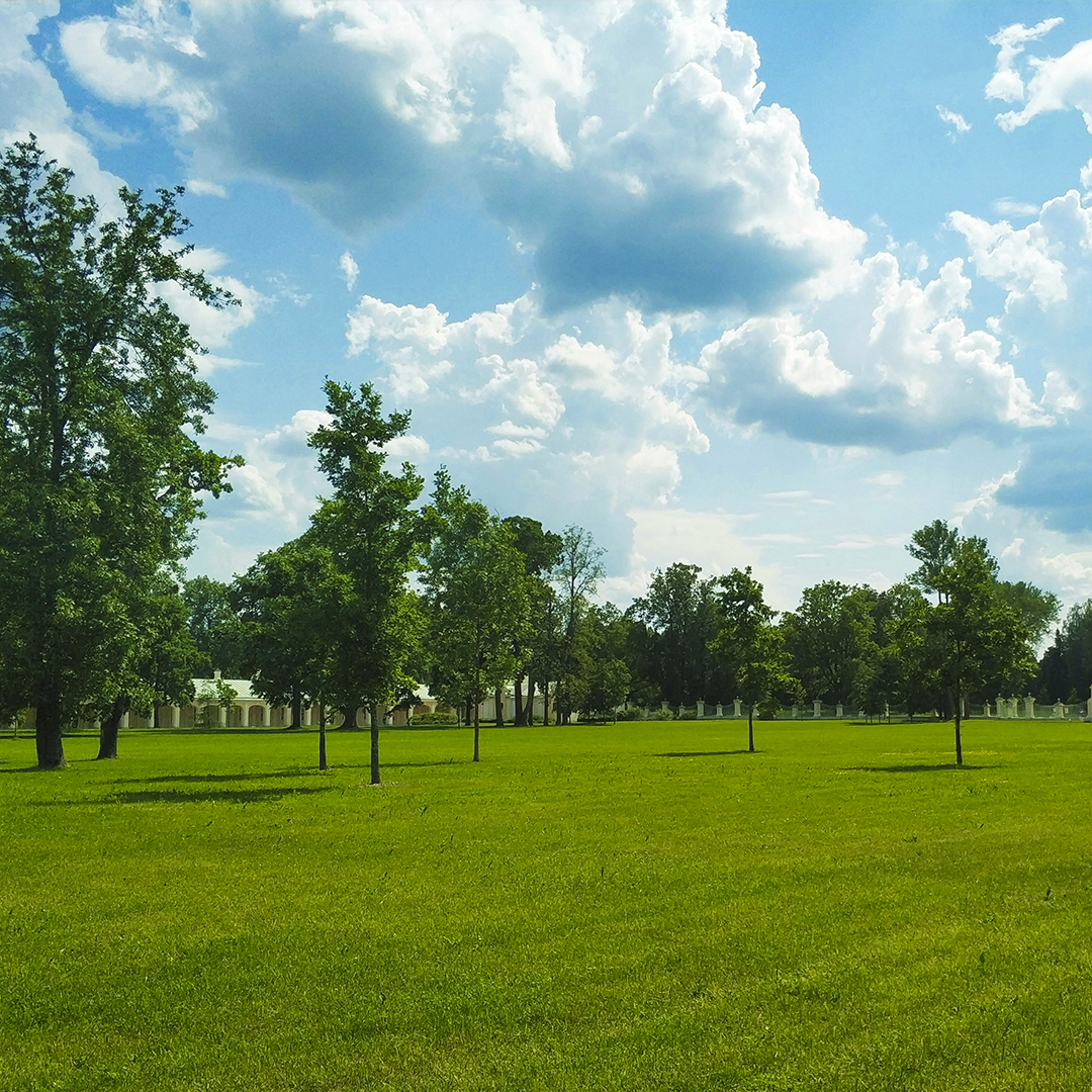 Espacios verdes corporativos